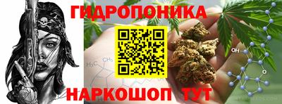 спиды Будённовск