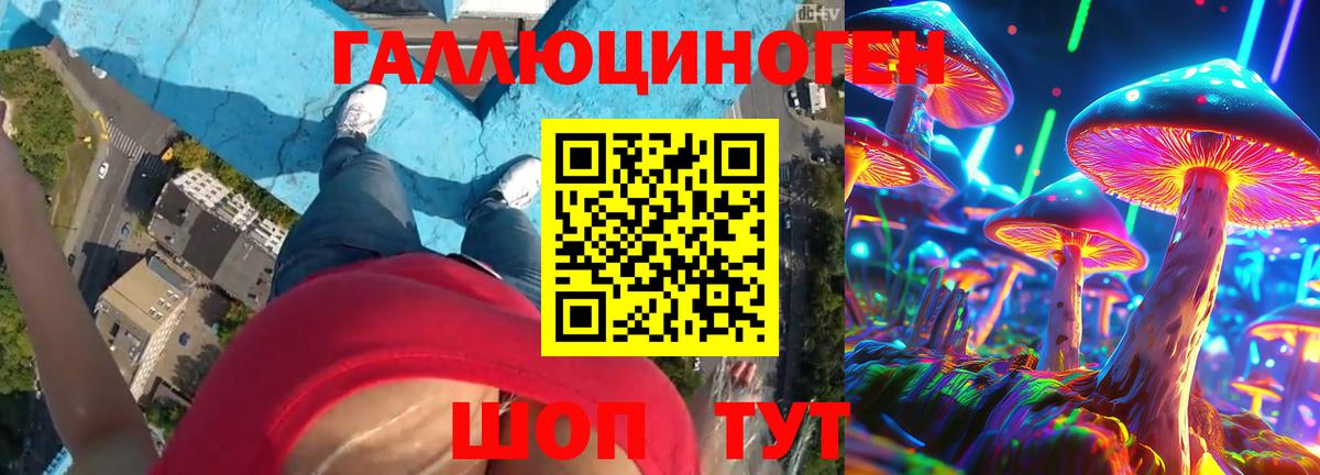 Псилоцибиновые грибы Psilocybe Шахты
