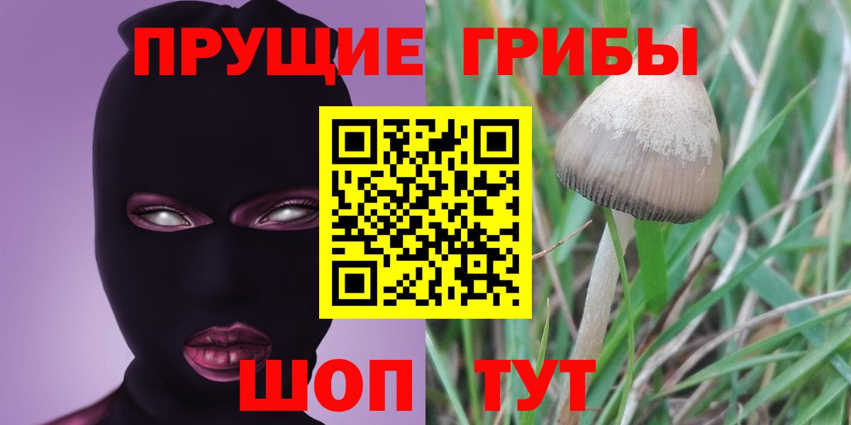 Псилоцибиновые грибы MAGIC MUSHROOMS  Вход с VPN  Галлюциногенные грибы прущие грибы  Шахты 
